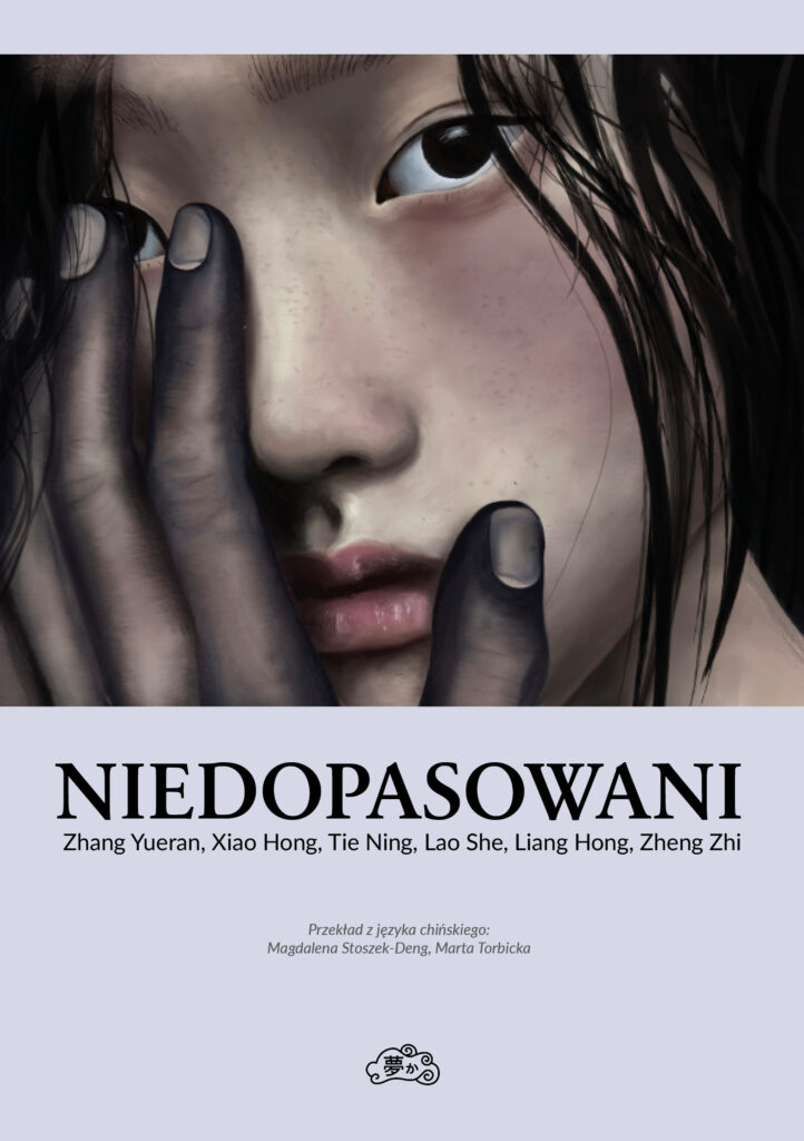 Niedopasowani - okładka